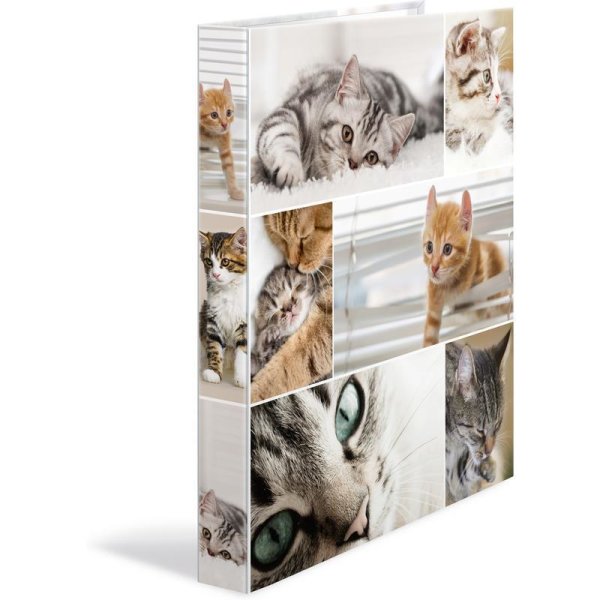 HERMA Ringbuch "Animals" - Katzen, DIN A4, 2-Ring