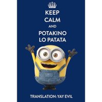 MINIONS Fleecová-deka "KEEP CALM AND POTAKINO...