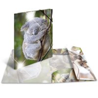 HERMA Eckspannermappe "Koala", PP Glossy, DIN A4