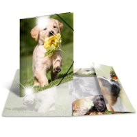 HERMA Eckspannermappe "Hunde", PP Glossy, DIN A4