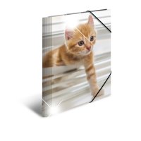 HERMA Eckspannermappe "Katzen", PP Glossy, DIN A4