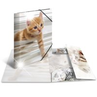 HERMA Eckspannermappe "Katzen", PP Glossy, DIN A4