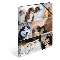 HERMA Eckspannermappe "Hunde", aus Karton, DIN A4