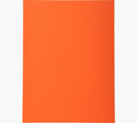 EXACOMPTA Aktendeckel FOREVER 250, DIN A4, orange 100 Stück