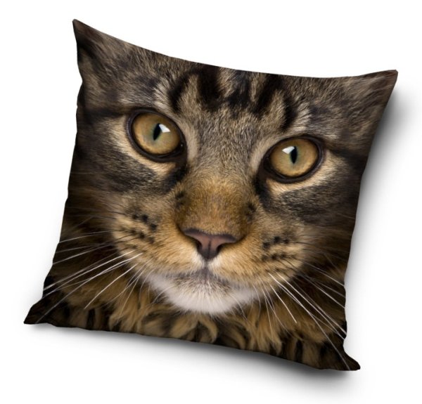 Kissenbezug Polyester 40 x 40 cm "Katze"