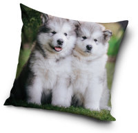 Kissenbezug Polyester 40 x 40 cm "Hund"