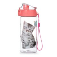 oxybag Trinkflasche 500 ml OXY CLICK Katze