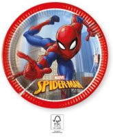 Party Pappteller 20 cm 8 Stück "Spiderman"...