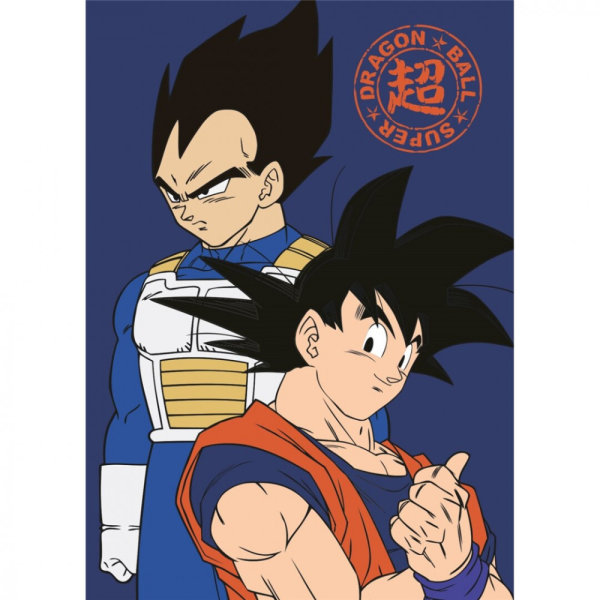 Kuscheldecke / Fleecedecke 100 x 140 cm Dragon Ball