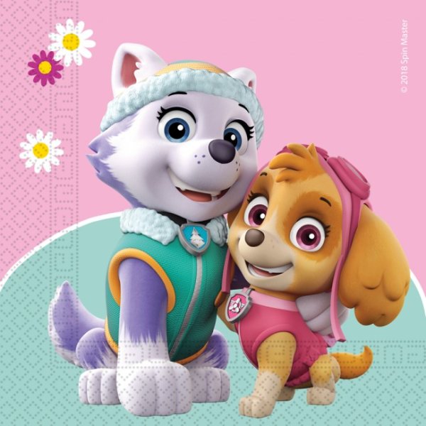 Party Servietten 33 x 33 cm 20 Stück "Paw Patrol" Skye and Everest